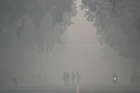 Bild von vergangener Woche aus Neu Delhi