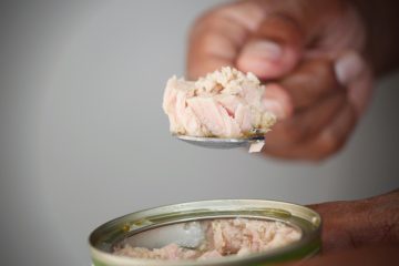 Lebensmittelsicherheit  / Quecksilber in Thunfischdosen: Keine akute Warnung in Luxemburg