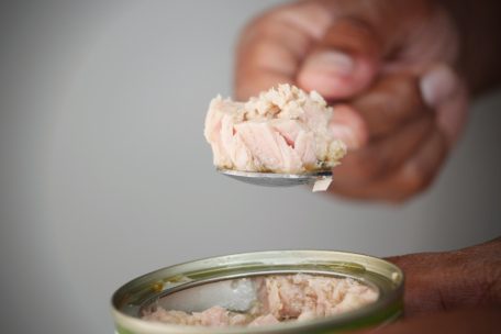 Lebensmittelsicherheit  / Quecksilber in Thunfischdosen: Keine akute Warnung in Luxemburg