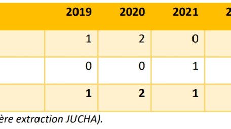 Anzahl neuer Fälle in den vergangenen fünf Jahren, nach dem Jahr, in dem der Fall übernommen wurde