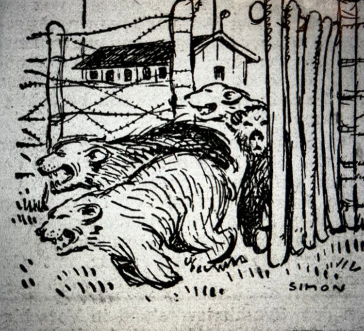 L’histoire du temps présent / Novembre 1944: L’Italien, ennemi intérieur