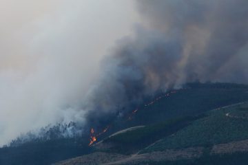 Leserforum / Notre planète, un héritage à préserver!