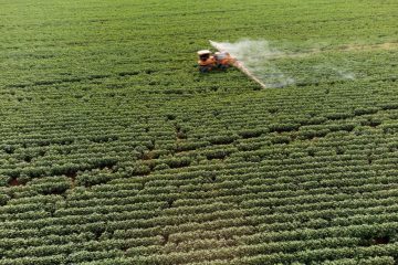 EU-Mercosur-Abkommen / Massiver Einsatz von Pestiziden in Südamerika: Wissenschaftler und NGOs warnen vor dem „toxischen Deal“