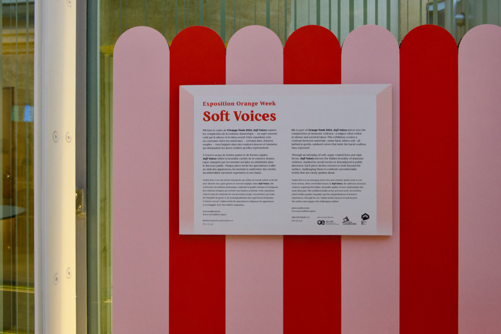 Ausstellung / Nadine Roccos „Soft Voices“ bricht mit dem Schweigen zu häuslicher Gewalt