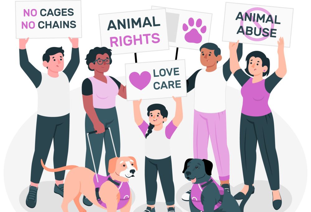 Internationaler Tag der Tierrechte / „Ein Tier ist kein Modeaccessoire“-Kampagne ruft zu einer verantwortungsvollen Tierhaltung auf