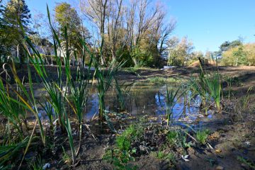 Naturpakt / 61,8 Prozent: Esch erhält Silberzertifizierung