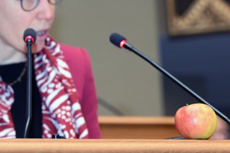 Budget 2025 / „Wéi een Apel fir den Duuscht?“ – Fokus auf vier Themenblöcke der Haushaltsdebatte