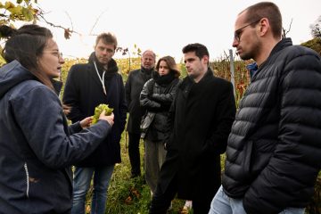 Domaine Tageblatt (7) / Fazit nach den ersten Wochen: Wir sind noch immer motiviert