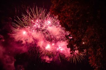 Silvester / Der Umwelt und den Tieren zuliebe: Feuerwerk bleibt in den meisten Gemeinden verboten