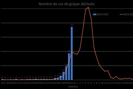 Die Grippezahlen der vergangenen Wochen