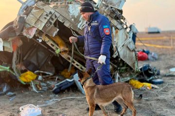 „Komplizierte Lage vor Absturz“ / Russische Luftfahrtbehörde äußert sich zum Flugzeug-Crash