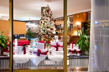 Luxemburg / Verheizen, kompostieren, mieten – So lässt sich der Weihnachtsbaum nach den Feiertagen entsorgen