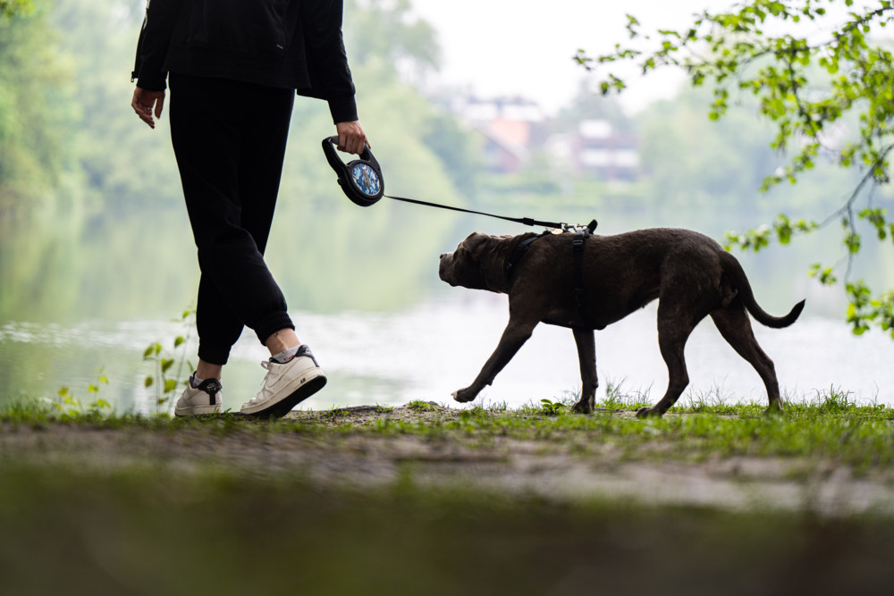 Jahresrückblick 2024 / August: Paralympics, geplanter Anschlag auf Swift-Concert und fünf tote Hunde