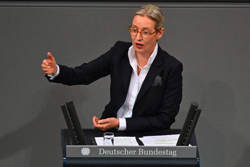 Deutschland / Was sich die AfD-Chefin vom Hightech-Milliardär erhofft