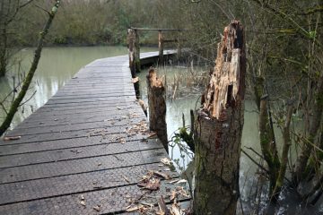 Schifflingen  / Wegen Vandalismus: Gemeinde sperrt Brücke im Naturschutzgebiet Brill