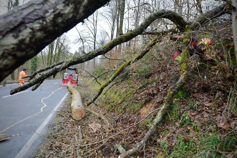 Sturm in Luxemburg / 400 Anrufe und 19 Einsätze: Das CGDIS zieht Bilanz