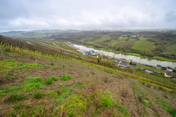 Domaine Tageblatt (8) / Boden und Aroma: Welche Rolle spielt der Untergrund unseres Weinberges?