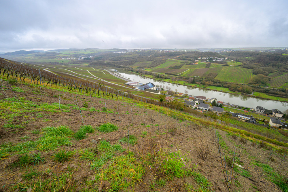 Domaine Tageblatt (8) / Boden und Aroma: Welche Rolle spielt der Untergrund unseres Weinberges?