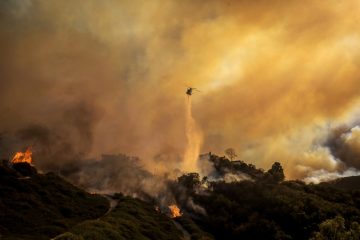 Los Angeles / Schwerer Waldbrand schlägt Tausende Menschen in die Flucht