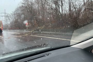 Autobahn A1 / Hinter dem Tunnel Cents: Umgefallener Baum blockiert Teil der Fahrbahn