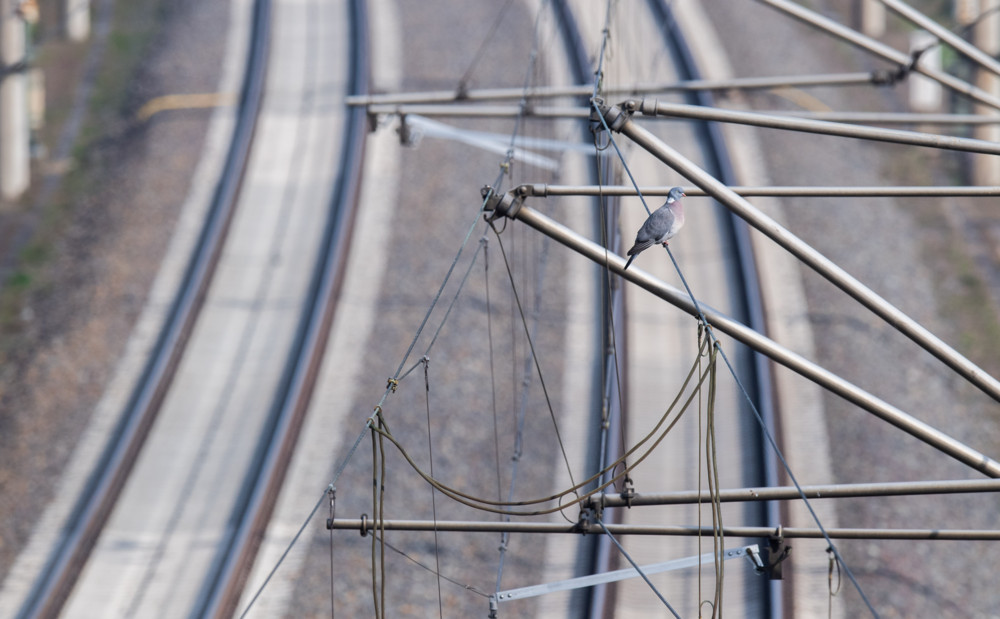12. bis 13. Januar / Belgische Eisenbahn streikt – Auswirkungen auf den Zugverkehr zwischen Luxemburg und Belgien