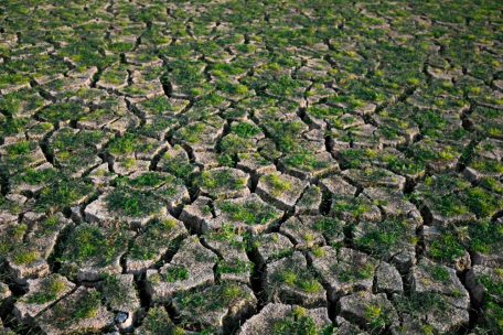 Klima / Schwelle von 1,5 Grad bei Erderwärmung 2024 überschritten