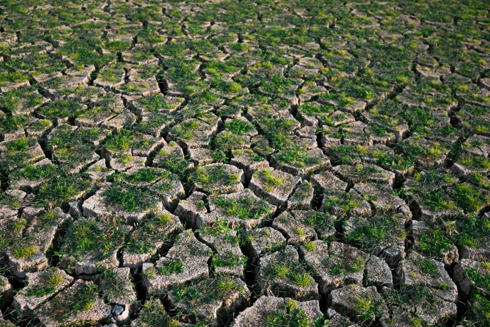 Klima / Schwelle von 1,5 Grad bei Erderwärmung 2024 überschritten