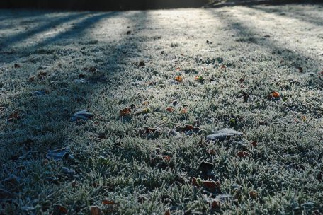 Update / Gelbe Warnstufe: Meteolux meldet eisigen Dienstagmorgen in ganz Luxemburg 