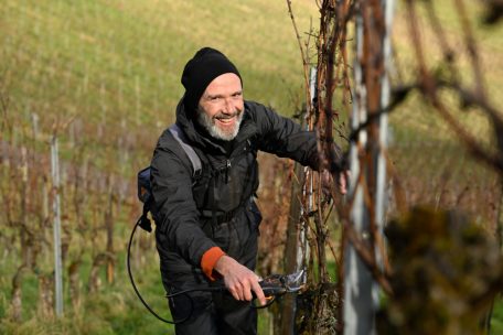 Laurent benötigt nur wenige Sekunden, um einen Rebstock zurückzuschneiden