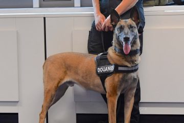 Drogenspürhunde im Einsatz / Luxemburger Zoll schnappt Drogenschmuggler mit rund 4,5 Kilo Cannabis