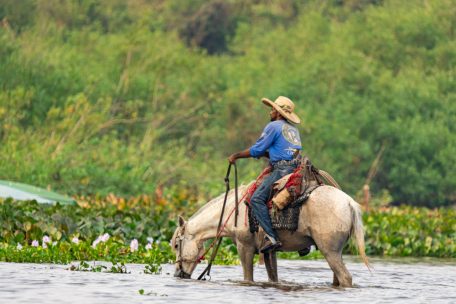 Ein Pantaneiro, ein brasilianischer „Cowboy“