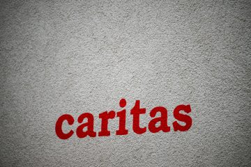 Chamber / Ausreden und Vorwände: Caritas und PwC wollen bislang nicht mit Spezialkommission sprechen