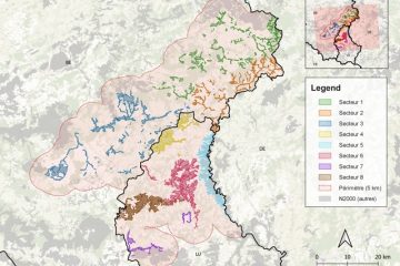 Grenzüberschreitendes Projekt / „LIFE ArdennÉislek“ soll Natura2000-Habitate stärker miteinander verbinden
