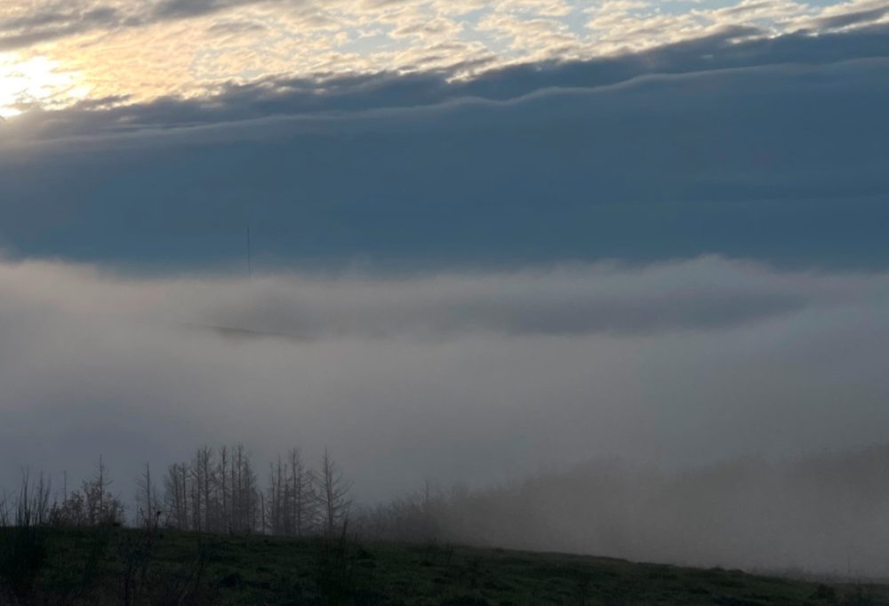 Wetterkolumne / Umschwung ab Wochenmitte: Das erwartet Luxemburg in den kommenden Tagen