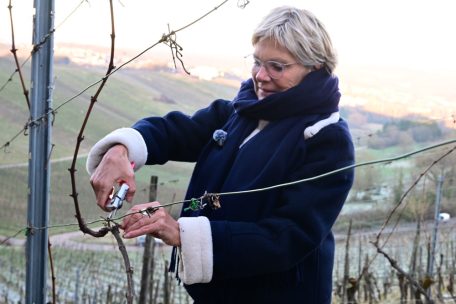 Man bekommt die Jugend nur für den Beruf des Winzers begeistert, wenn sich damit auch Geld verdienen lässt: Landwirtschaftsminiserin Martine Hansen (CSV)