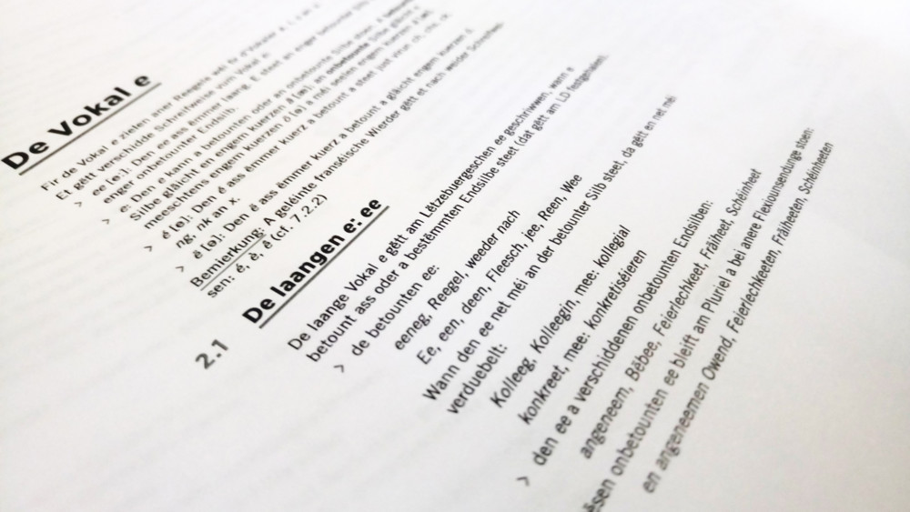 Lycée Michel Rodange / Pilotprojekt zu Luxemburger Sprache hat zu wenig Interessenten – das sagen Schuldirektor und ZLS