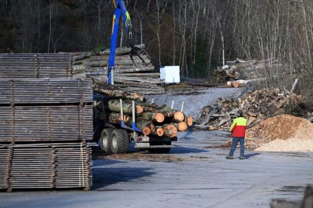 Düdelingen rechnet für 2025 mit Einnahmen von 20.000 Euro durch den Holzverkauf