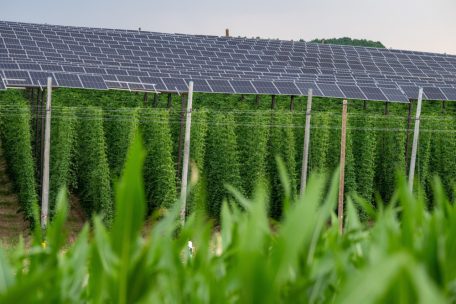 Chamber / Solarkraft auf dem Acker – aber nicht auf Kosten der Landwirtschaft