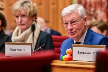 Zeichen setzen: die Regenbogen-Ente der DP-Abgeordneten Barbara Agostino, hier vor Chamber-Präsident Claude Wiseler (CSV)
