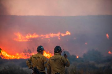 Editorial / Die „Mutter aller Krisen“: Mehr Klimaschutz wagen