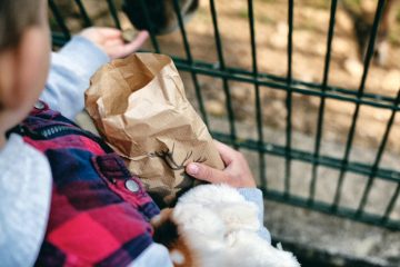 Escher Déierepark / Schluss mit Gratis: Futter-Tüte für Tiere kostet künftig einen Euro