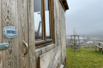 Weinbau  / „Oenotourismus“ liegt im Trend: Der Wein als Grund für die Reise 