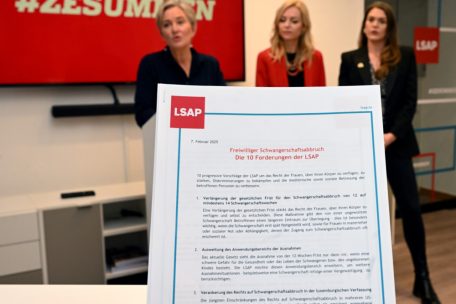 Der Zehn-Punkte-Plan der LSAP