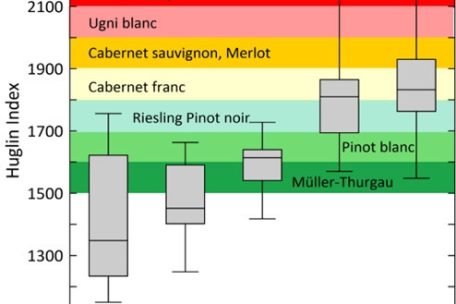 Entwicklung des heliothermischen Indexes (Huglin-Index) in den letzten 50 Jahren am Standort Remich. Der Huglin-Index berechnet die benötigte Wärmesumme für einen erfolgreichen Anbau einer bestimmten Rebsorte. In der Grafik zeigt die Mittellinie in den grauen Box Plots die Mediane des Huglin-Indexes, der in den jeweiligen Jahrzehnten gemessen wurde; die Box Plots zeigen die 25%- sowie 75%-Perzentile und die Whiskers die jeweiligen minimalen und maximalen Werte. Die farbliche Skala zeigt die unteren und oberen von Huglin vorgeschlagenen Grenzwerte für die unterschiedlichen Rebsorten der Mosel an. (science.lu)