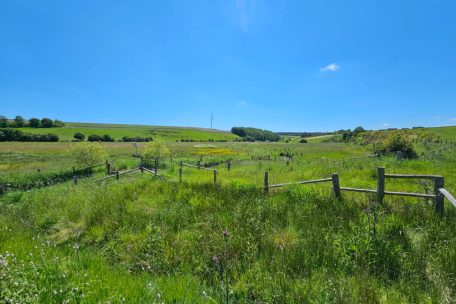 Der Rückgang der Arten der Feuchtgebiete und strukturreicher Landschaften bleibt erschreckend