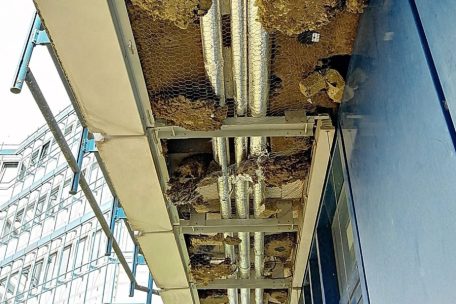 Wabenstruktur: In den Fassaden der Uni sollen Mäuse und Ratten leben