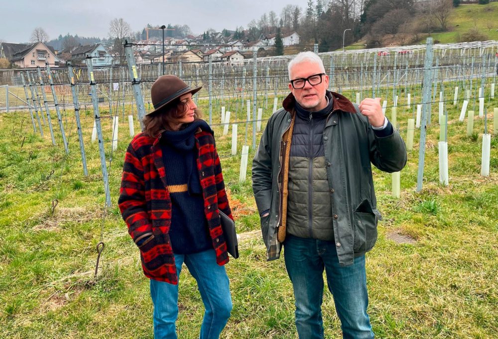 Domaine Tageblatt / Woher kommt der Rivaner? Die Suche nach der Urrebe führt uns in die Schweiz