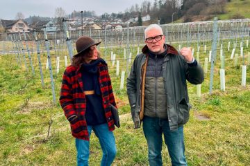 Domaine Tageblatt / Woher kommt der Rivaner? Die Suche nach der Urrebe führt uns in die Schweiz