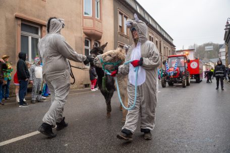 Bei der Diekircher Kavalkade kommt man an Esel Loui (sic!) nicht vorbei