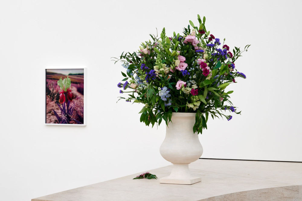 Kunstecke / Lisa Oppenheim trifft im Mudam auf „Monsieur Steichen“